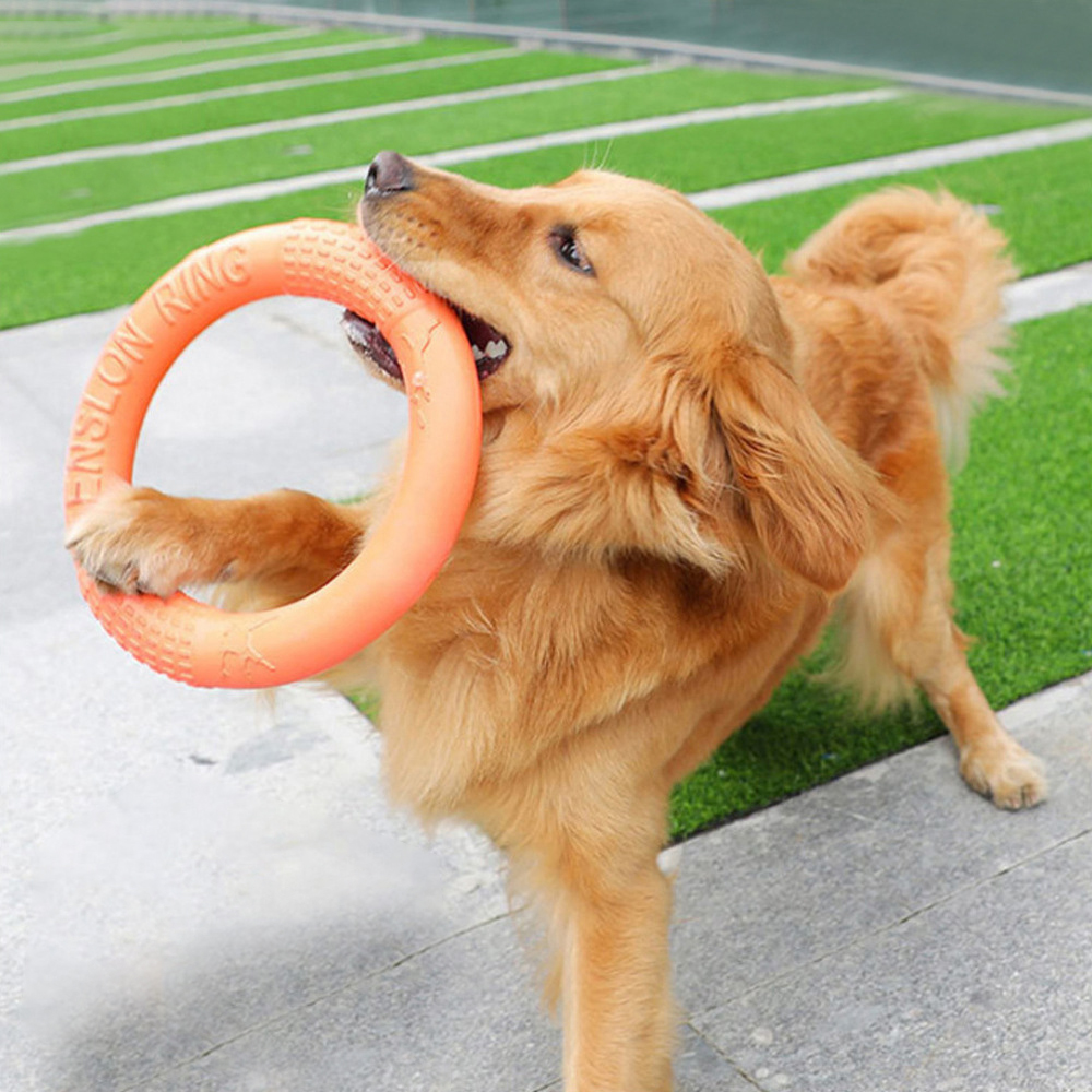 Interactive Squeaky Plush Dog Toy - Laranja voando disco formação anel extrator,