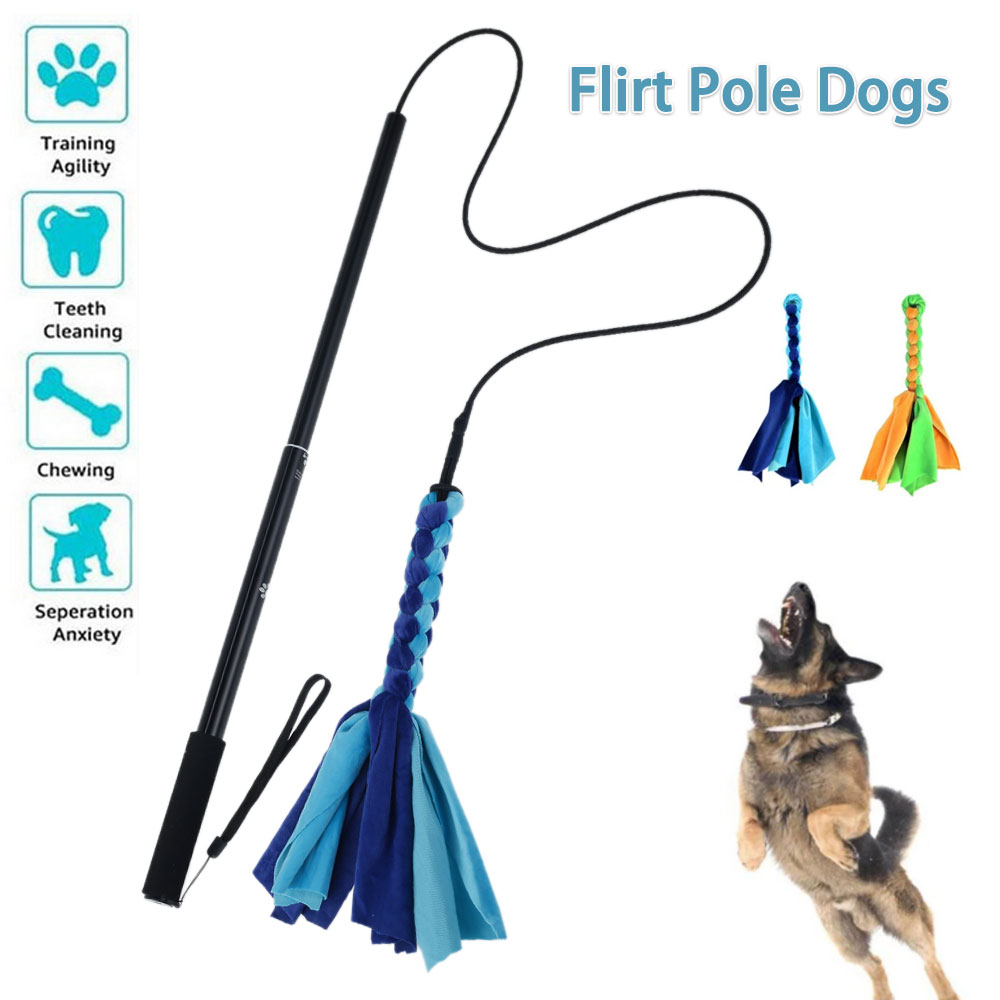 Interactive Squeaky Plush Dog Toy - Cães flertar isca pólo vara brinquedos