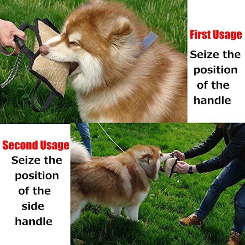 Brinquedo Durável para Treinam - Interactive Squeaky Plush Dog Toy avaliação e preço
