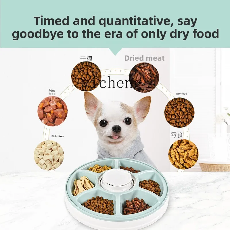 Alimentador automático para an - Pet Feeders avaliação e preço