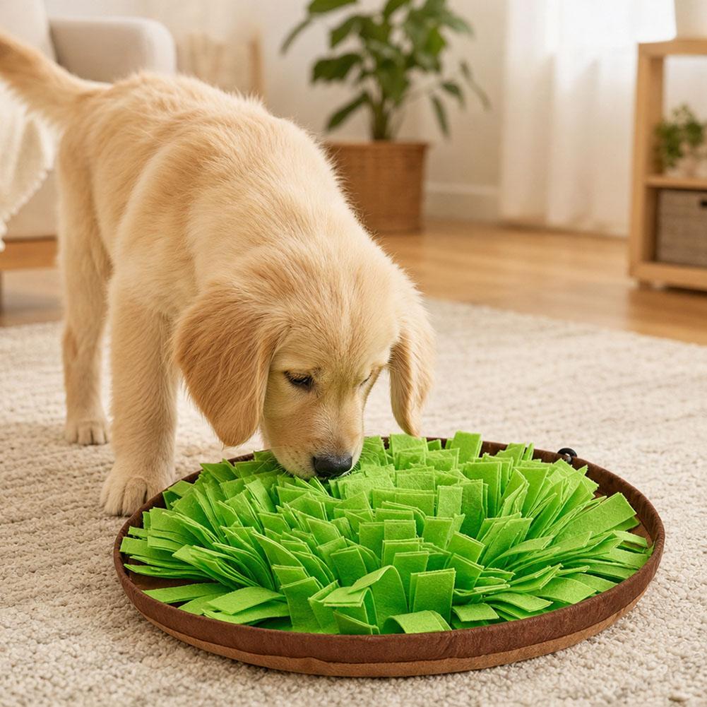 Tapete de treino interativo pa - Dog Puzzle Feeder Toy avaliação e preço