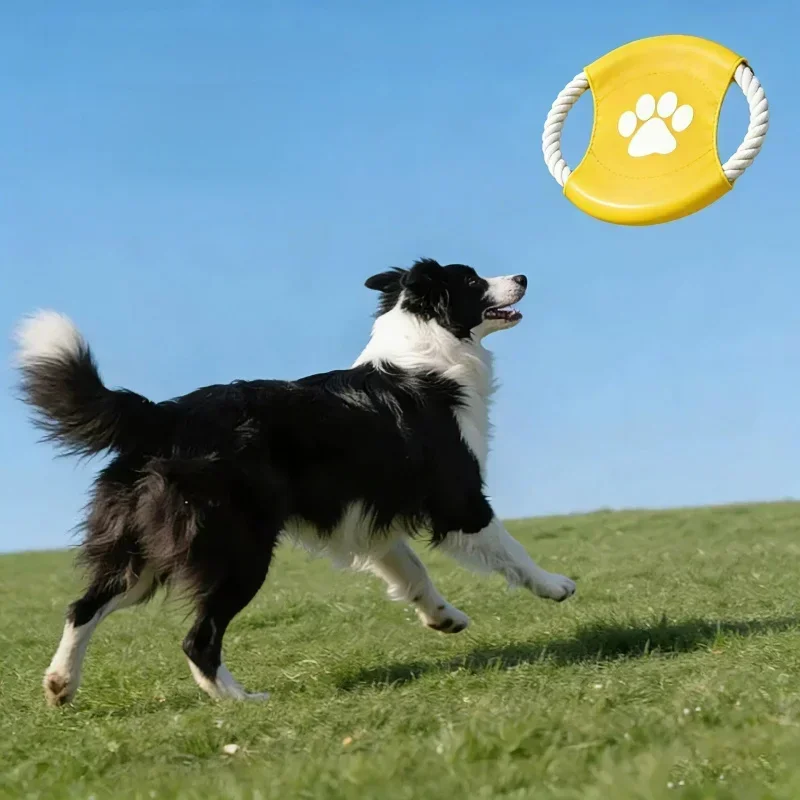 Brinquedo Interativo de Corda  - Flying Disc Dog Training Toy avaliação e preço