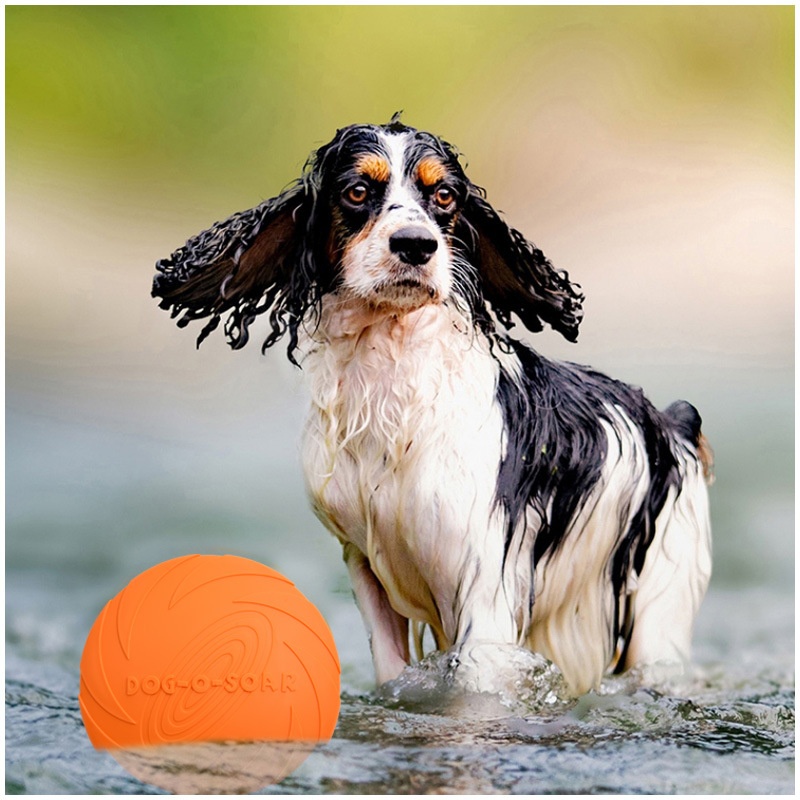 Brinquedo interativo em forma  - Flying Disc Dog Training Toy avaliação e preço