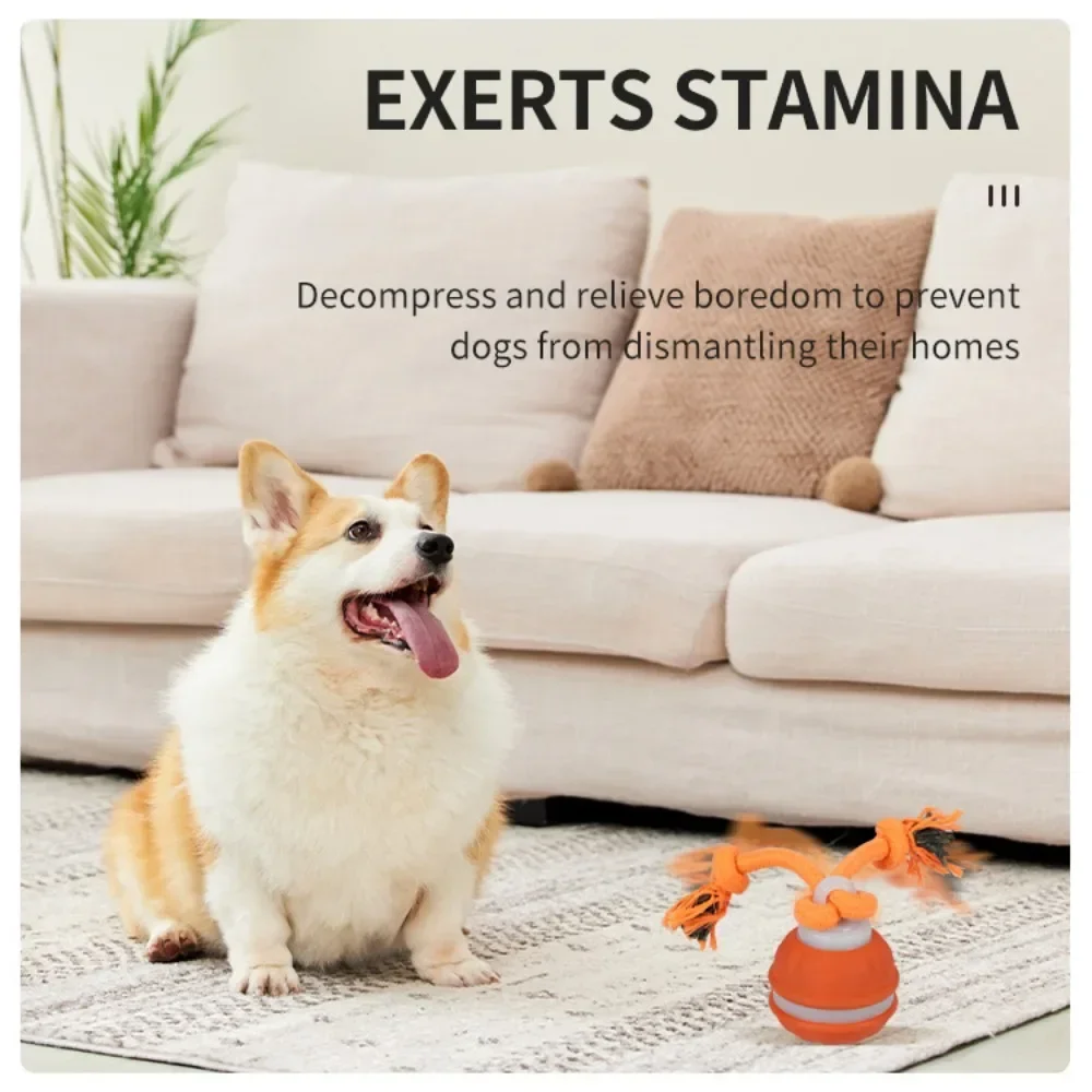 Bola para cães, brinquedo inte - Automatic Moving Dog Ball avaliação e preço