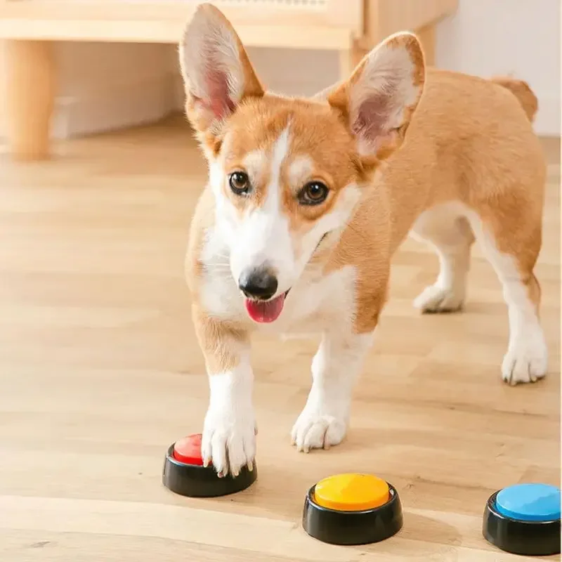 Caixa de som para animais de e - Interactive Squeaky Plush Dog Toy avaliação e preço
