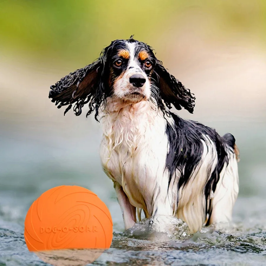 Brinquedo Disco Voador para Cã - Flying Disc Dog Training Toy avaliação e preço