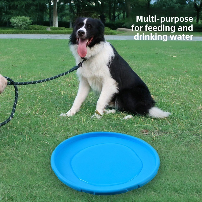 Brinquedo multicolorido para c - Flying Disc Dog Training Toy avaliação e preço