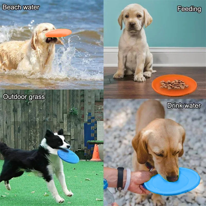 Brinquedo multicolorido para c - Flying Disc Dog Training Toy avaliação e preço
