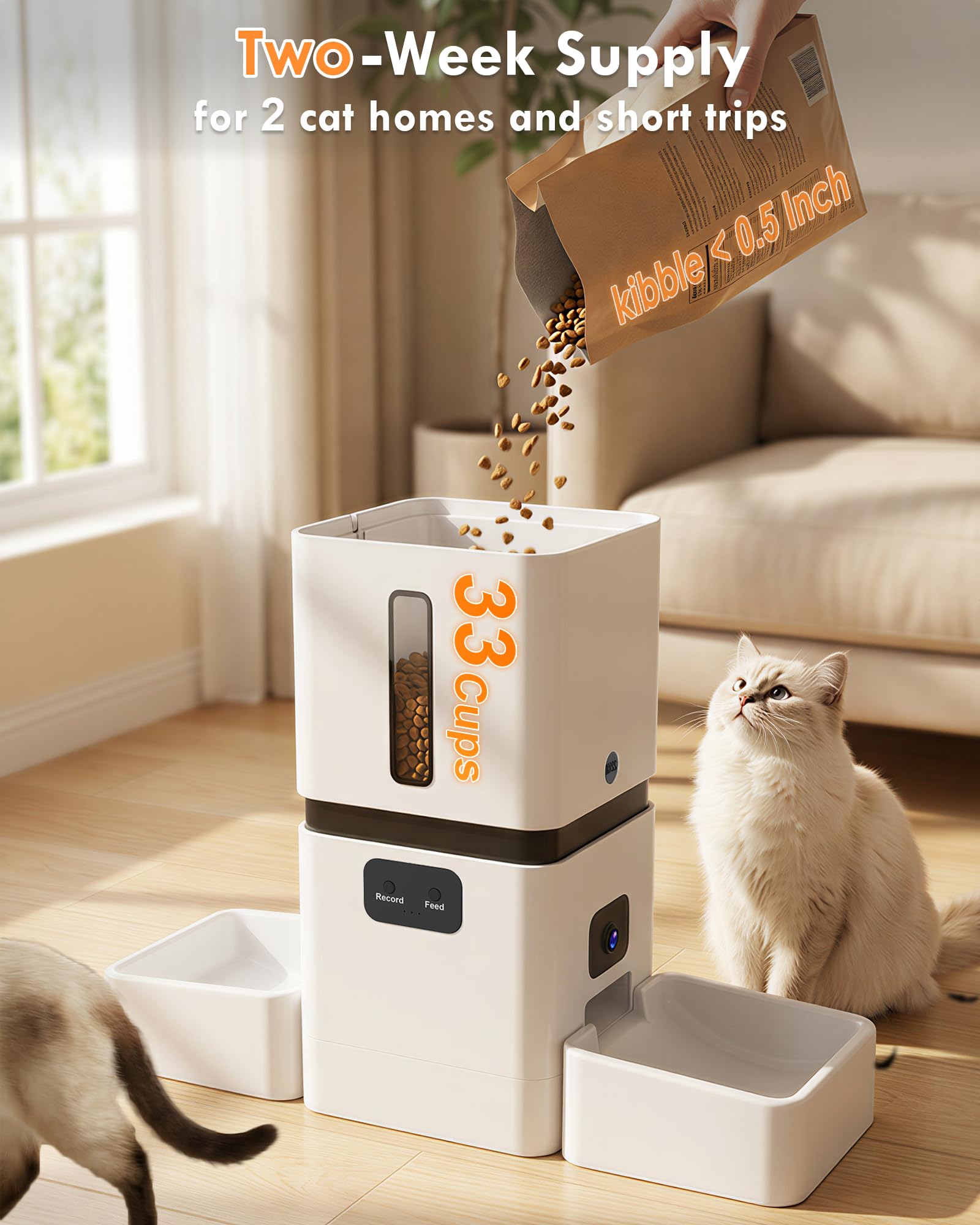 Dispensador Automático de Raçã - Pet Feeders avaliação e preço