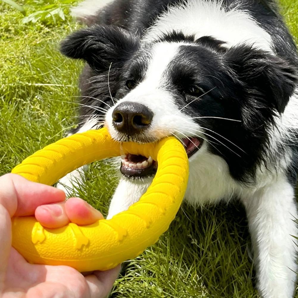 Brinquedos de Anel para Cães I - Indestructible Dog Chew Toy avaliação e preço